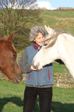 Equine TTouch Training, Alexander Technique, Kendal, Cumbria